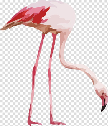 Illustration Flamingo Watercolor