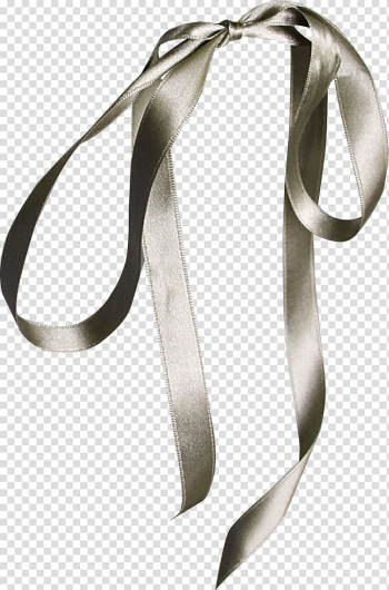 Free: Shoelaces Corset Ribbon Necktie, ribbon transparent background PNG  clipart 