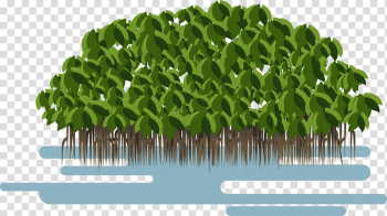 mangrove trees clipart