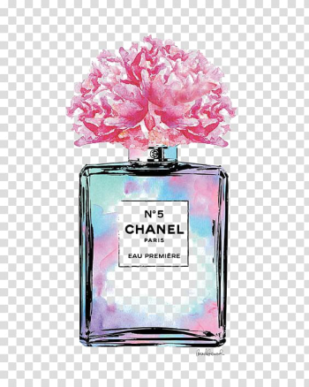 N5 Chanel fragrance bottle on white surface photo – Free Paris