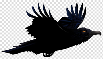 Common Raven Tattoo The Raven Drawing Baltimore Ravens PNG, Clipart, 3d  Animation, Animal, Animals, Animation, Anime