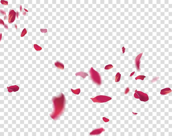 flower petals falling drawing