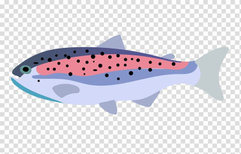 Trout Fishing Clip Art Png Rainbow Brown Transparent Background