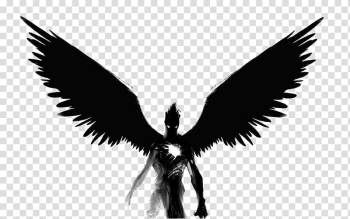 Black Wings Transparent PNG Image
