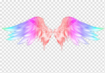 Wing PNG, Vector, PSD, and Clipart With Transparent Background for