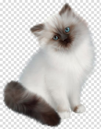 Premium Vector  Himalayan cat mascot