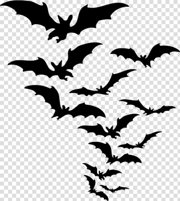 Halloween bat png images