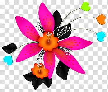 Multicolor Flowers PNG Transparent Images Free Download