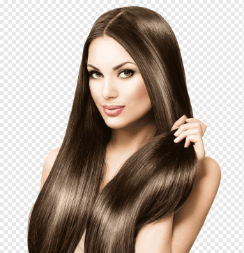 Hair - Top vector, png, psd files on 