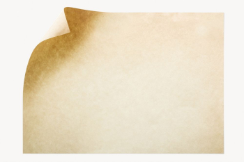 Plain white canvas paper textured background vector, premium image by  rawpixel.com / Aew