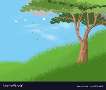 Tree Sky plc, 103, deco, brilho Gif, natureza png