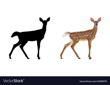 Deer at sunset Royalty Free Vector Image - VectorStock