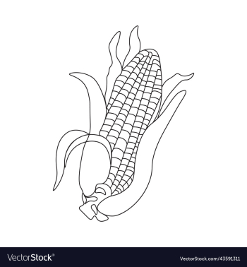 corn coloring page for kids kdp interior