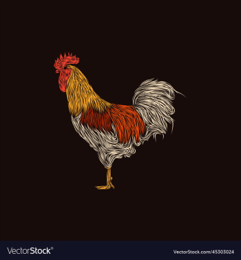 animal rooster artwork style design