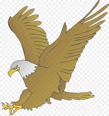 Spqr eagle - Top vector, png, psd files on