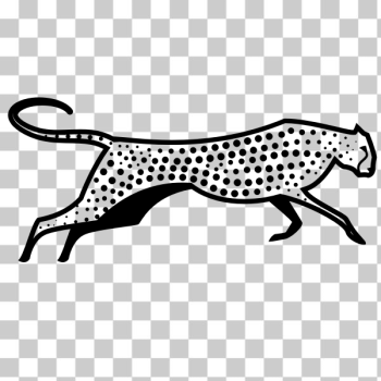 Vector Silhouette Of Cheetah On White Background. Royalty Free SVG