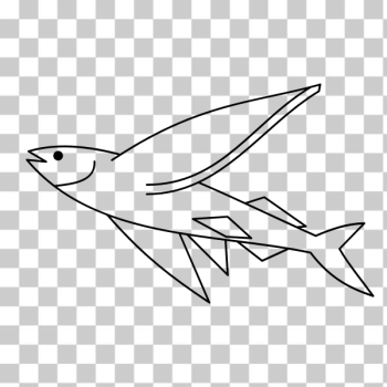 Flying Fish PNG, Vector, PSD, and Clipart With Transparent