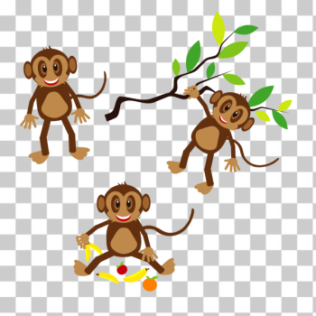 Saki monkeys wiki - Top vector, png, psd files on