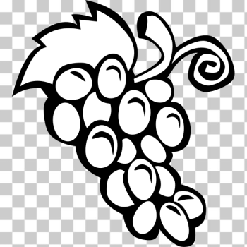 Branches And Leaves Of Grapes Clipart Black And White,grapes Drawing,leaves  Drawing PNG Hd Transparent Image And Clipart Image For Free Download -  Lovepik | 380261264