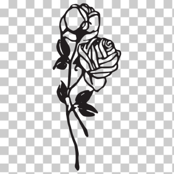 Black Rose Tattoo PNG Transparent SVG Vector