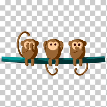 Saki monkeys wiki - Top vector, png, psd files on