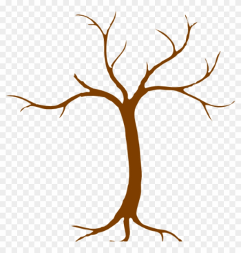 Tree Sketch No Leaves Root On Paper Stock Photo, Picture And Royalty Free  Image. Image 28136409.