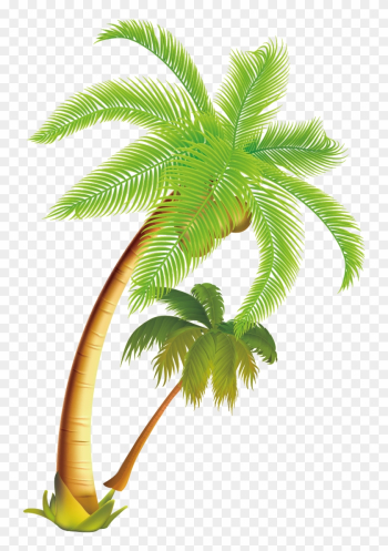 Free: Coconut tree illustration, Arecaceae Coconut Tree, Tropical coconut  tree material transparent background PNG clipart 