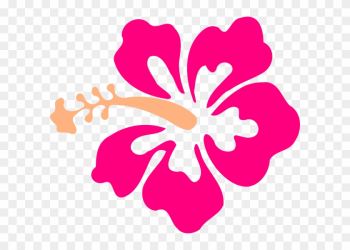 ilustração de flor png