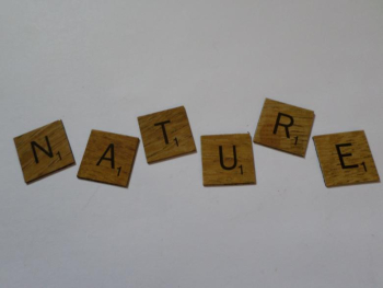 Wooden Scrabble Tiles -  Australia