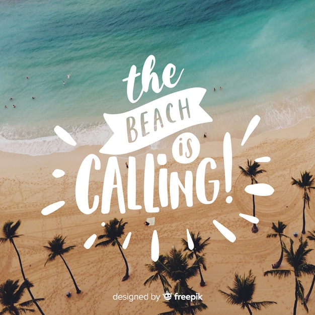 seashore,seasonal,tropic,summertime,exotic,trunk,paradise,calligraphic,season,sunshine,picture,lettering,vacation,palm,environment,natural,palm tree,plant,holiday,tropical,text,photo,font,leaves,typography,sun,sea,beach,nature,leaf,summer,tree