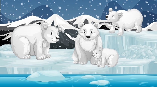 mammals,alive,creatures,fauna,creature,outside,arctic,polar,bears,snowing,snowfall,climate,wildlife,living,freeze,frost,wild,scene,polar bear,scenery,liquid,outdoor,cold,environment,natural,drawing,ice,bear,animals,cute,landscape,animal,cartoon,nature,water,snow