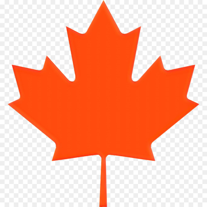 red maple leaf png