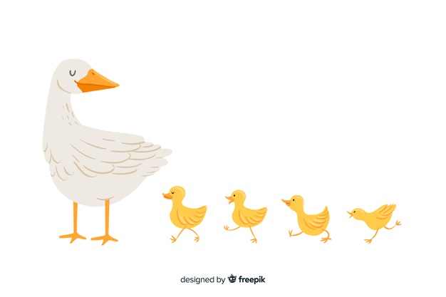 Free: Flat mother duck and ducklings Free Vector 