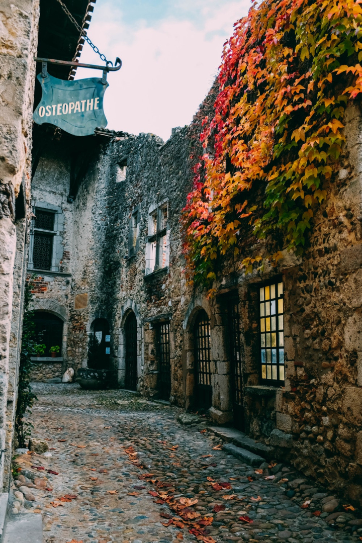 alley,ancient,architectural design,architecture,building,cobblestone,daylight,exterior,fall,house,maple leaves,narrow,old street,outdoors,signage,stone,street,town,traditional,travel,wall,window