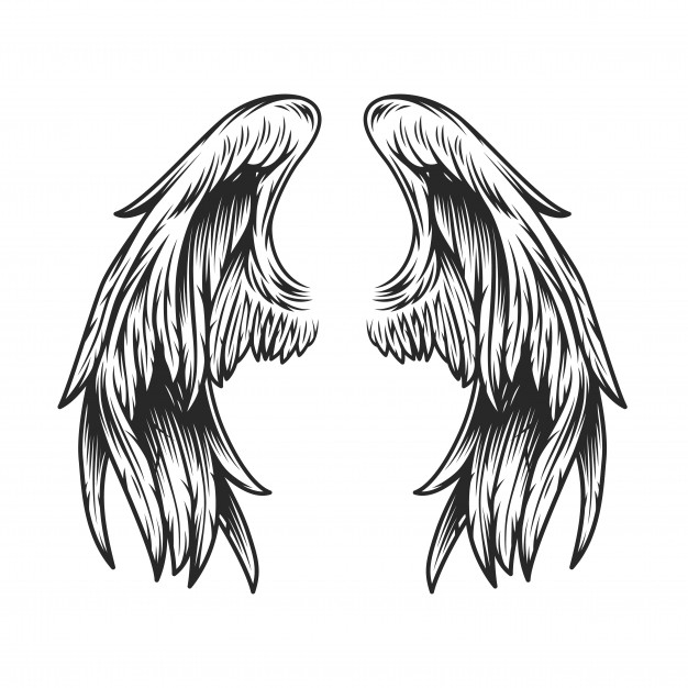 Free: Vintage angel wings template Free Vector - nohat.cc