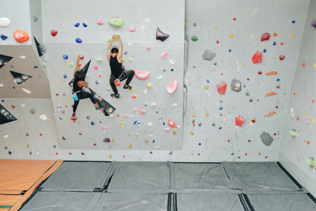 Free: Sportive people working out on climbing wall Free Photo - nohat.cc