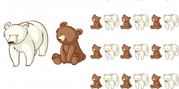 repeats,adorable,tiled,mammal,mammals,repeating,grizzly bear,alive,creatures,fauna,grizzly,creature,wrapping,polar,bears,empty,repeat,living,clipart,blank,theme,polar bear,drawing,bear,graphic,animals,cute,animal,character