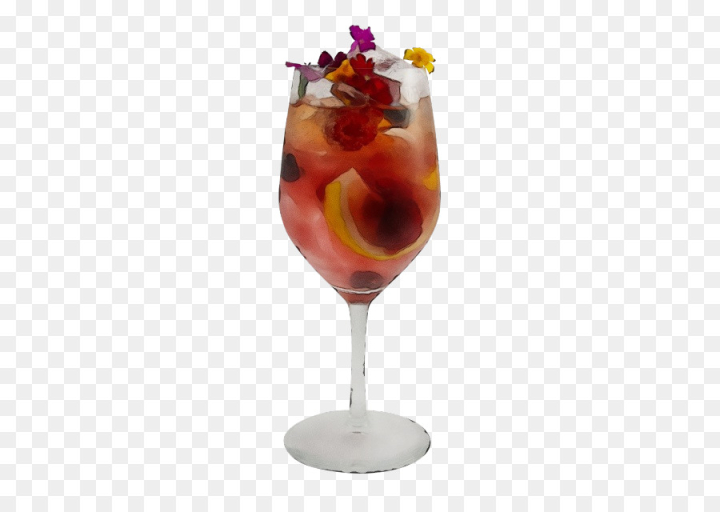 watercolor,paint,wet ink,drink,cocktail garnish,alcoholic beverage,cocktail,food,nonalcoholic beverage,wine cocktail,sangria,distilled beverage,punch,png