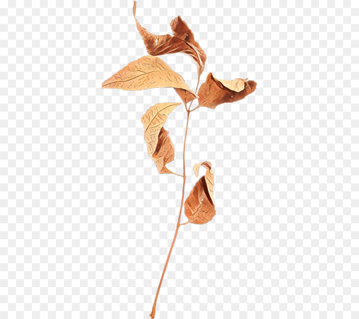  cartoon,leaf,plant,anthurium,flower,tree,plant stem,twig,plane,png