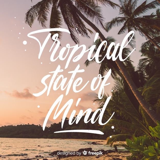 seasonal,tropic,summertime,exotic,trunk,paradise,calligraphic,season,sunshine,picture,lettering,vacation,palm,environment,natural,palm tree,plant,holiday,tropical,text,photo,font,leaves,typography,sun,sea,beach,nature,leaf,summer,tree