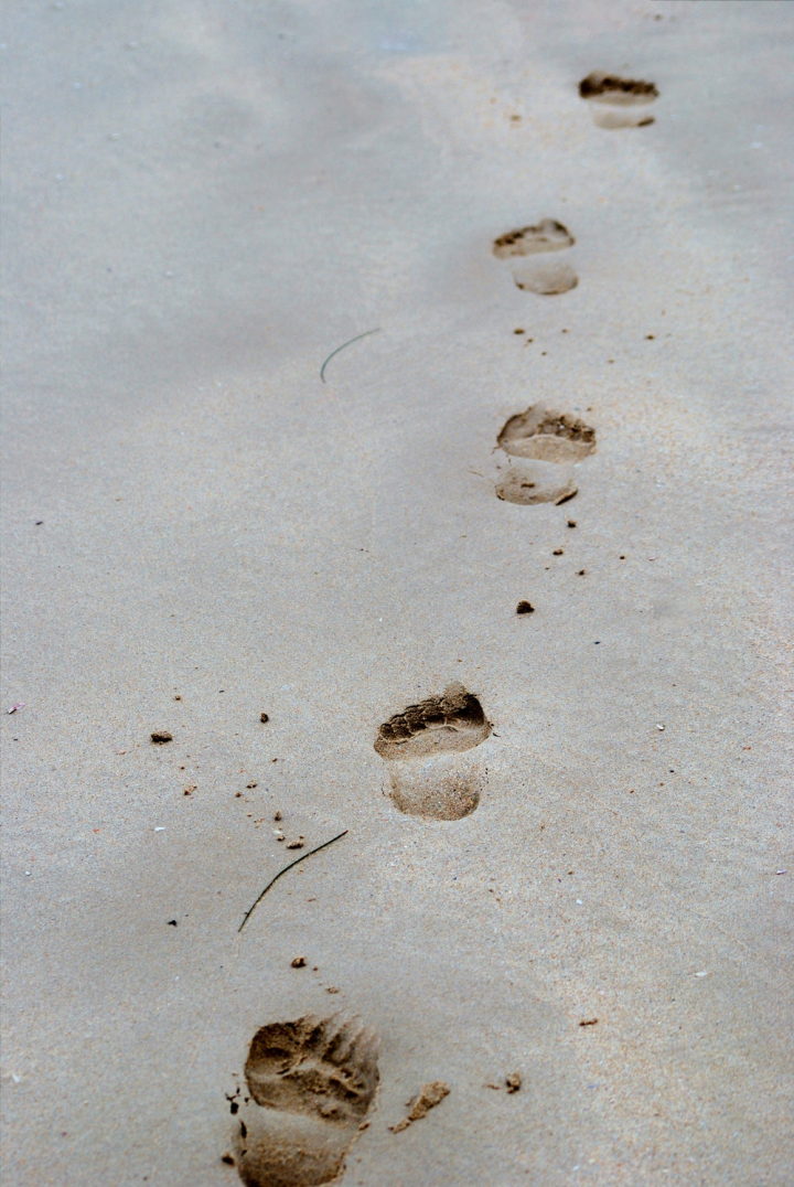 beach,footprints,sand