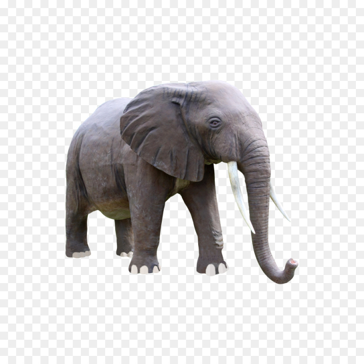 indian elephant,elephant,african bush elephant,sculpture,statue,hippopotamus,animal,rhinoceros,tusk,garden sculpture,garden ornament,african elephant,elephants,asian elephant,elephants and mammoths,mammal,vertebrate,terrestrial animal,animal figure,wildlife,snout,png