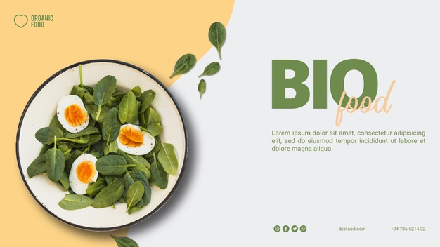 biofood,boiled,boiled egg,tasty,spinach,delicious,vegetarian,bio,vegan,dish,eating,nutrition,lunch,diet,salad,eat,dinner,egg,organic,eco,photo,template,food,banner