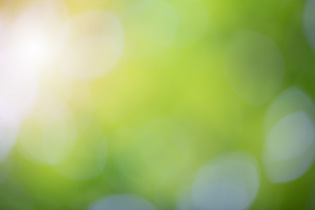 Free: Green bokeh on nature blur background. element of design. Free Photo  