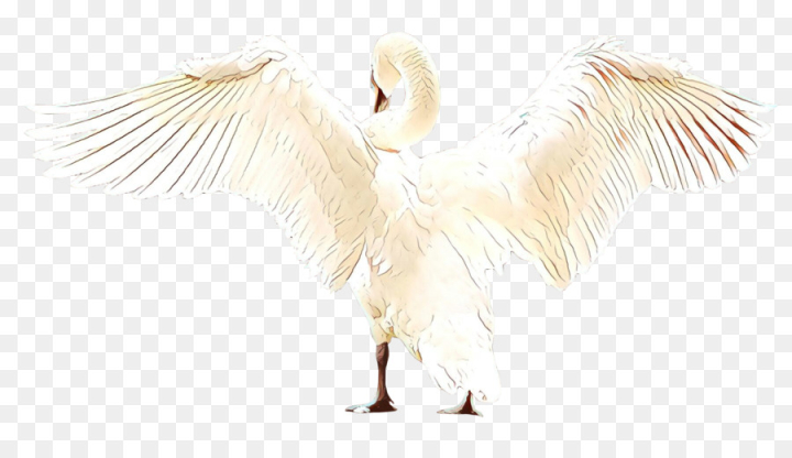  cartoon,white,feather,wing,bird,angel,beak,cranelike bird,egret,heron,png