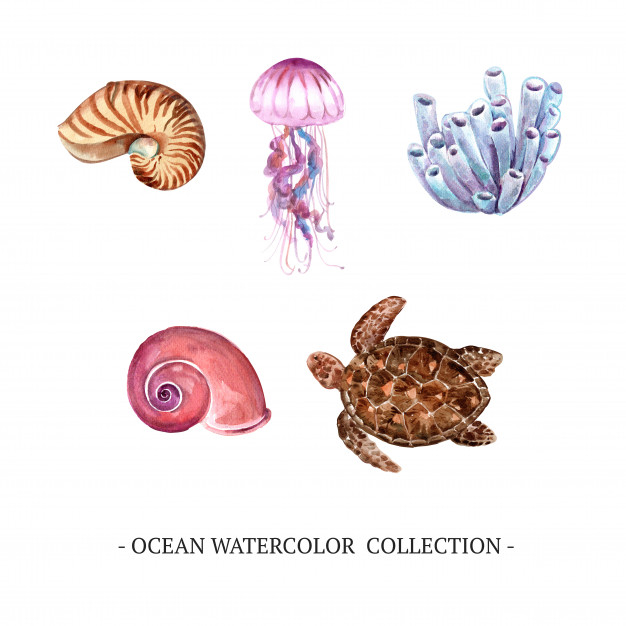 Free: Set of isolated elements of watercolor ocean Free Vector - nohat.cc