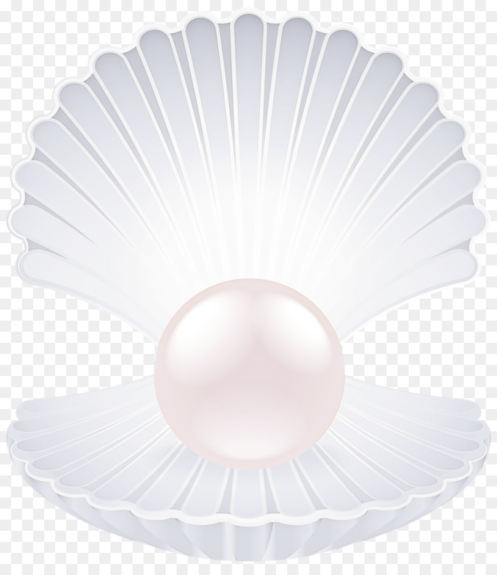 Free: white coffee filter pearl ceiling - nohat.cc