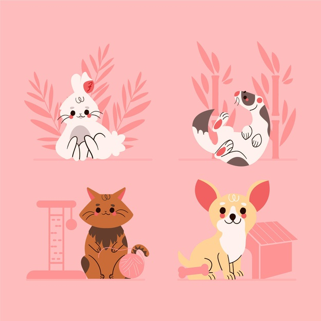adorable,domestic,different,set,collection,illustrations,cartoon animals,pack,lovely,characters,pet,animals,cute,animal,cartoon
