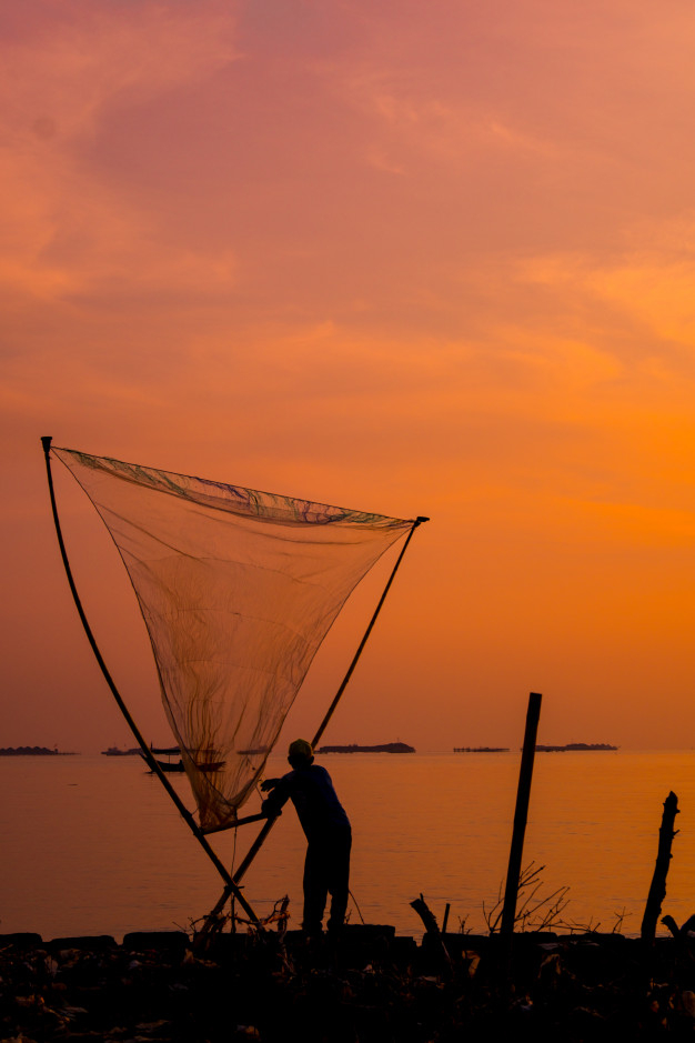 Sea Fishing Net Images - Free Download on Freepik