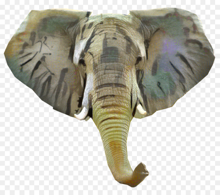 indian elephant,african elephant,elephant,terrestrial animal,animal,elephants and mammoths,wildlife,animal figure,snout,png